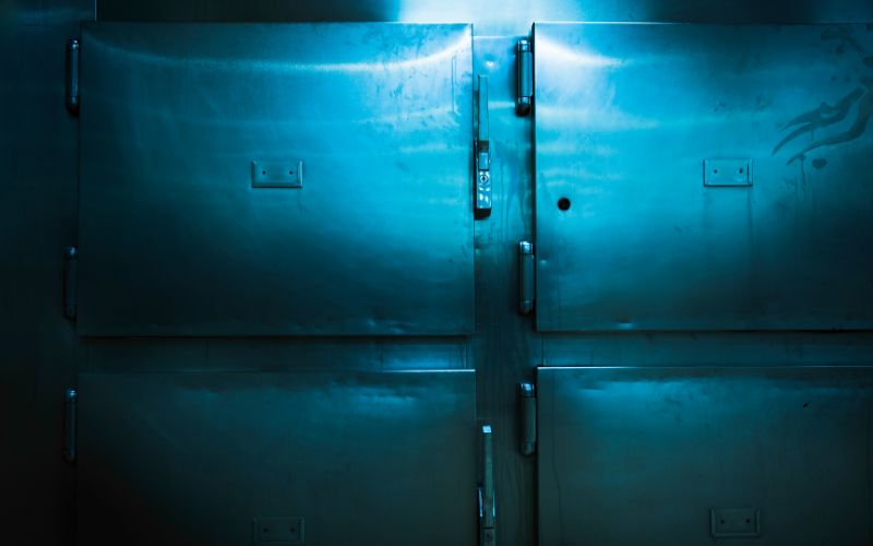 This image shows a set of industrial metallic doors, possibly on a large freezer or cooler, illuminated by a cool blue light. The texture of the metal surfaces is visible, and the doors feature handles and latches, suggesting they are used for securing something inside. The atmosphere conveyed is stark and cold.