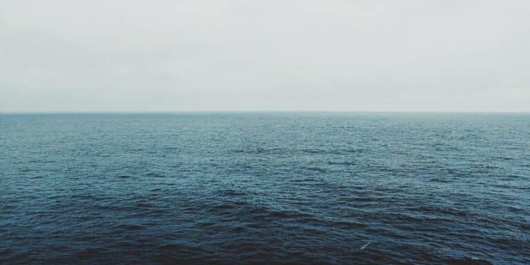 The ocean