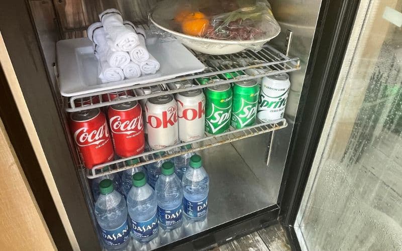 Fresh fruits, soda, and water inside the mini fridge