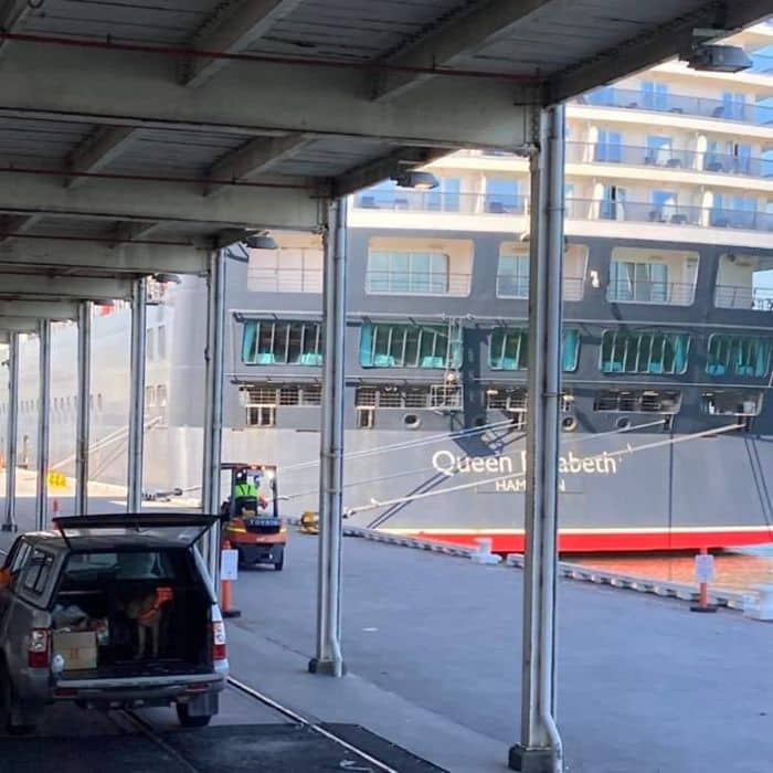 drug dogs at cruise port next to Queen Elizabeth cruise ship