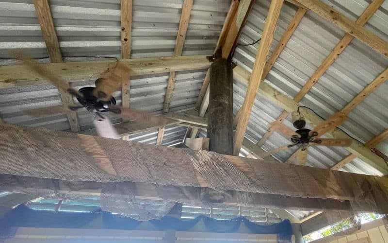 Two large fans in the ceiling
