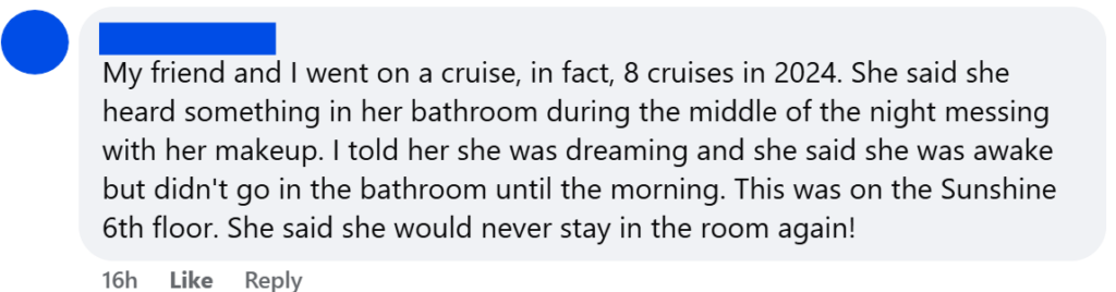 "My friend and I went on a cruise, in fact, 8 cruises in 2024. She said she heard something in her bathroom during the middle of the night messing with her makeup. I told her she was dreaming and she said she was awake but didn't go in the bathroom until the morning. This was on the Sunshine 6th floor. She said she would never stay in the room again!"