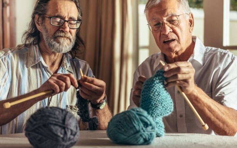 knitting theme cruise