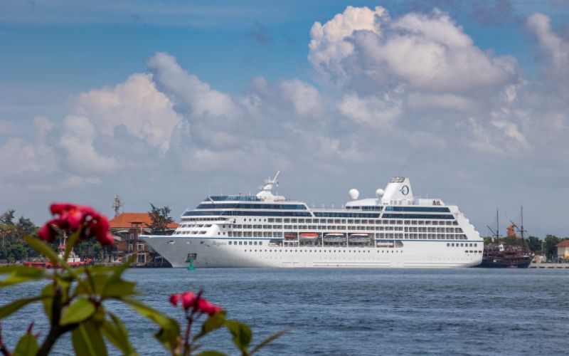 A white cruise ship named "Regatta" is docked near a coastal area with buildings featuring orange rooftops. The sky is partly cloudy, and red flowers in the foreground add a touch of color to the scene.