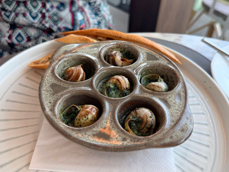 snails