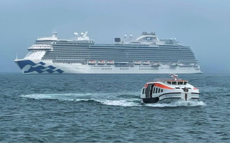 This image depicts a large cruise ship with a distinctive blue wave design on its hull, sailing through misty waters. In the foreground, a smaller tender boat is seen moving quickly across the water, likely shuttling passengers between the ship and a nearby port. The scene captures the vast size difference between the cruise ship and the tender boat, illustrating the scale and operations involved in managing a cruise journey.