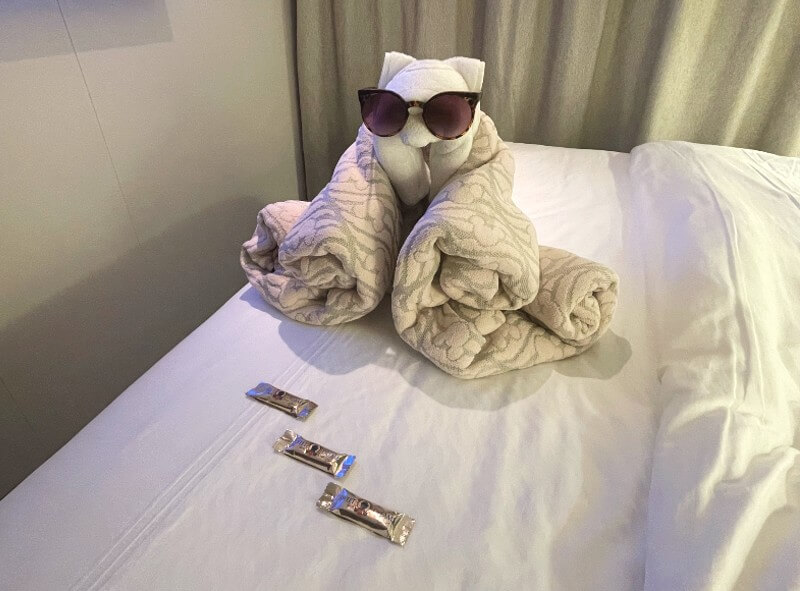Towel Animal
