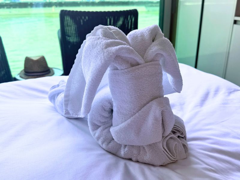towel animal
